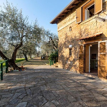Casetta Maduneta Immersa In Un Oliveto Dolceacqua Exterior photo
