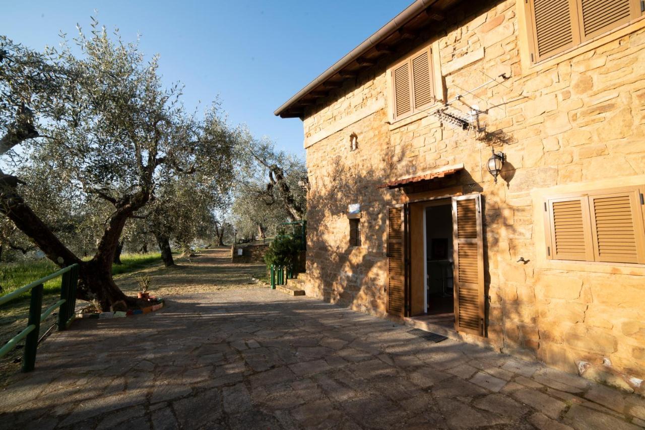 Casetta Maduneta Immersa In Un Oliveto Dolceacqua Exterior photo